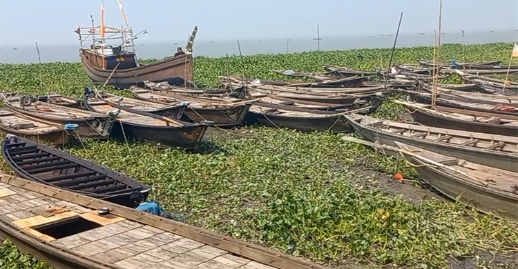 মধ্যরাতে ইলিশ ধরতে নদীতে নামবেন জেলেরা