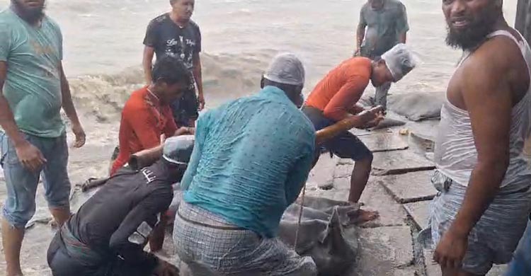 চাঁদপুর শহররক্ষা বাঁধের ১৬৫ মিটার ধস