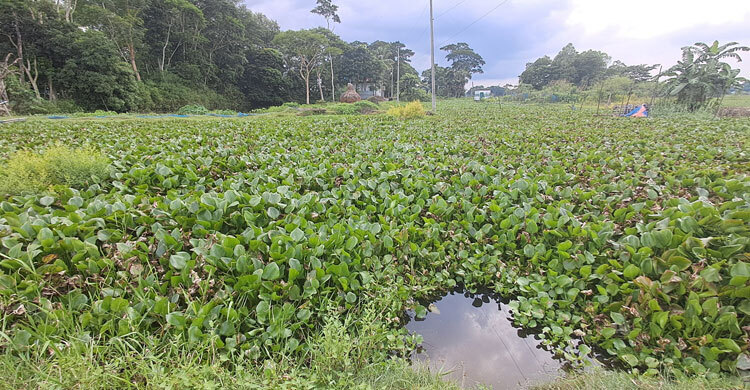 কালভার্ট নির্মাণ না করেই অর্ধকোটি টাকা তুলে নিলেন ঠিকাদার