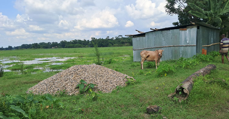 কালভার্ট নির্মাণ না করেই অর্ধকোটি টাকা তুলে নিলেন ঠিকাদার