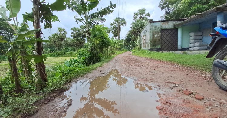 দীর্ঘদিন সংস্কারের অভাবে চলাচলের অনুপযোগী হয়ে উঠেছে চাঁদপুরের ফরিদগঞ্জে সুবিদপুর পূর্ব ইউনিয়নের একটি সড়ক