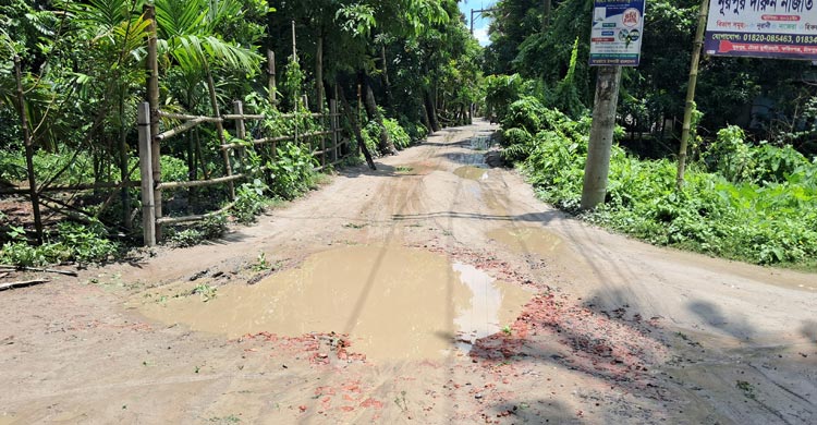 দীর্ঘদিন সংস্কারের অভাবে চলাচলের অনুপযোগী হয়ে উঠেছে চাঁদপুরের ফরিদগঞ্জে সুবিদপুর পূর্ব ইউনিয়নের একটি সড়ক