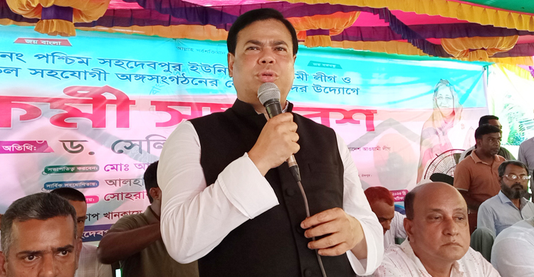 আমরা একা নই, সঙ্গে বন্ধু রাষ্ট্র রয়েছে: সেলিম মাহমুদ