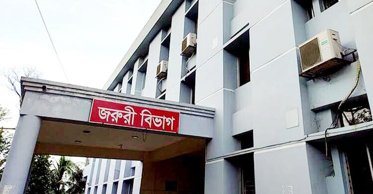 চাঁদপুরে কুকুরের কামড়ে শিশুসহ আহত ২০