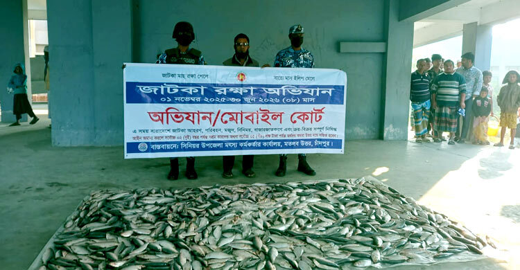 চাঁদপুরে লঞ্চ থেকে ২০০ কেজি জাটকা জব্দ