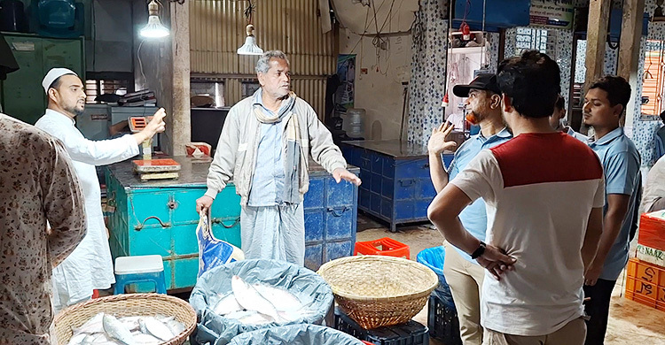 চাঁদপুরে ইলিশের কেজি ৪ হাজার