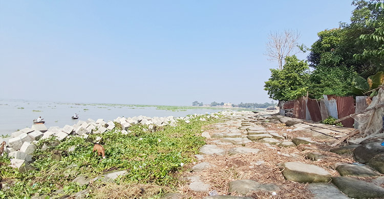 মেঘনার ভাঙন রোধে ৮০০ কোটি টাকায় নির্মিত হচ্ছে বাঁধ