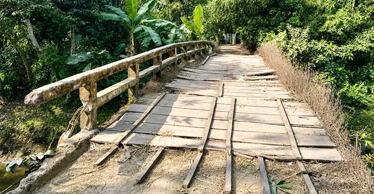 ১৫ গ্রামের মানুষের ভরসা ঝুঁকিপূর্ণ কাঠের সেতু