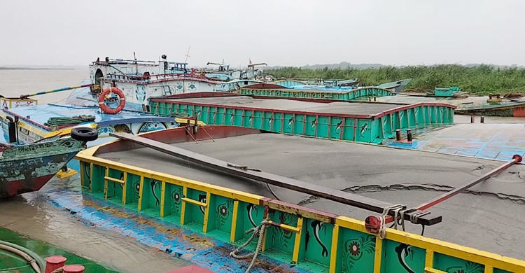 চাঁদপুরে ২৮ বাল্কহেড-তিন ড্রেজার জব্দ, আটক ৬২