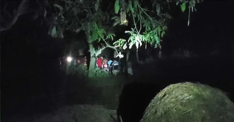 চাঁপাইনবাবগঞ্জ সীমান্তে রাতভর পুশ-ইনের চেষ্টা করেও ব্যর্থ বিএসএফ