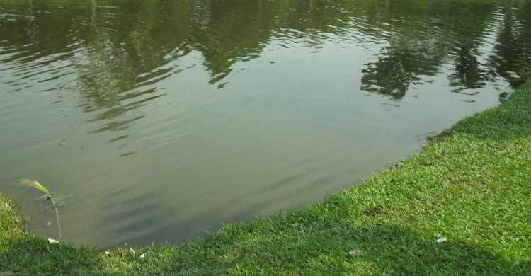 চাঁপাইনবাবগঞ্জে ডোবায় পড়ে তিন শিশুর মৃত্যু