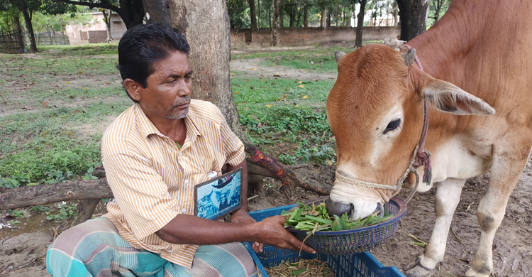 ২০ বছর ধরে শেখ হাসিনার নামে কোরবানি দিচ্ছেন রমজান