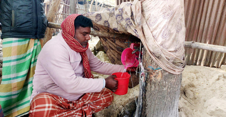 রোগমুক্তির আশায় নিমগাছের মিষ্টি রস খেতে ছুটছে মানুষ