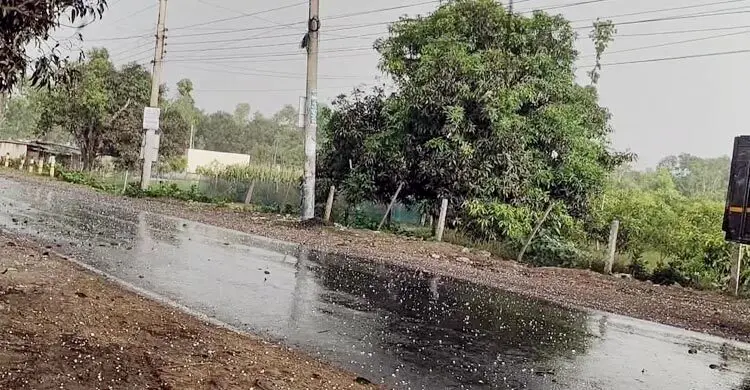 চাঁপাইনবাবগঞ্জে শিলাবৃষ্টিতে আমের ব্যাপক ক্ষতি