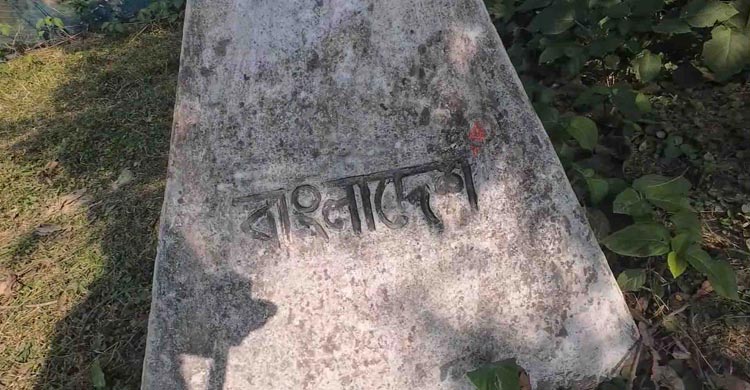 গুলিতে কমেছে, নতুন কৌশলে বাংলাদেশিদের ‘হত্যা’ বিএসএফের