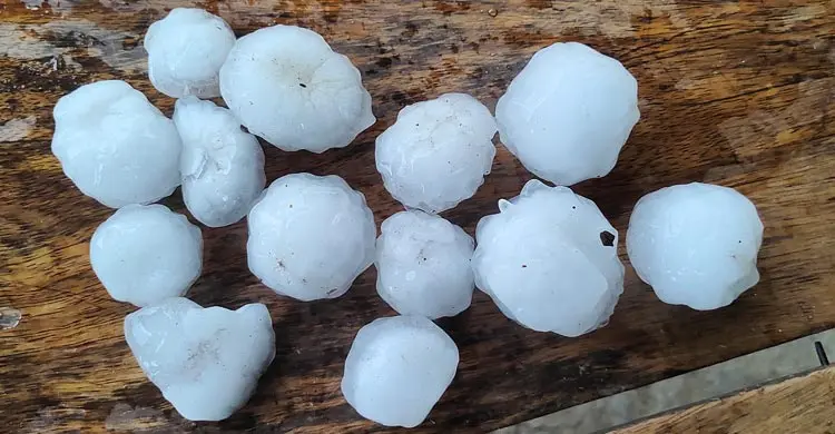 চাঁপাইনবাবগঞ্জে শিলাবৃষ্টিতে আমের ব্যাপক ক্ষতি