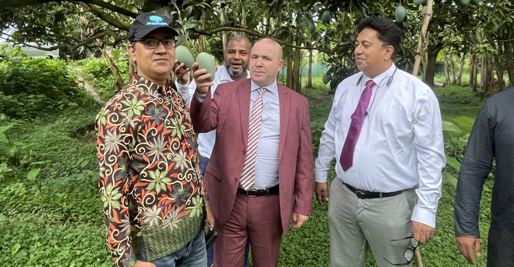 বাগান পরিদর্শনে রাষ্ট্রদূত, আলজেরিয়ায় যাচ্ছে চাঁপাইনবাবগঞ্জের আম