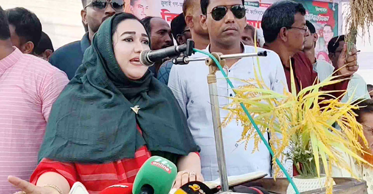 স্বৈরাচার বিদায়ে জামায়াতের এক পয়সাও খরচ হয়নি