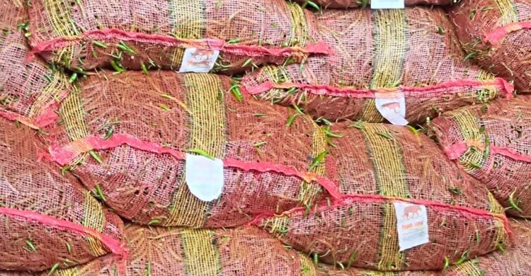 ভারত থেকে এলো ৩০ টন কাঁচামরিচ