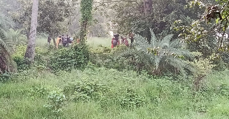 পুশ ইনে ব্যর্থ, দু’দিন পর ২৮ জনকে ফিরিয়ে নিলো বিএসএফ