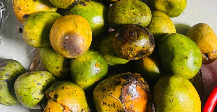 কুরিয়ারের গাফিলতিতে ধ্বংস অনলাইন আমের বাজার