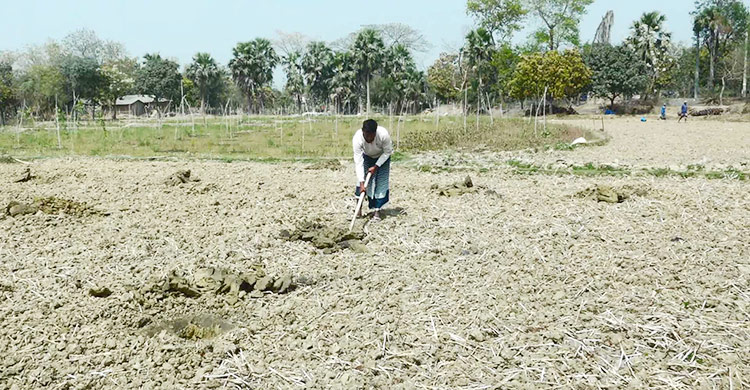 নামছে পানির স্তর, সেচ-বিশুদ্ধ পানি সংকটে বরেন্দ্র অঞ্চল