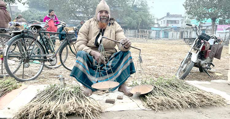 চাহিদা বেড়েছে লতাকস্তুরি গাছের, বিক্রি হচ্ছে চড়া দামে