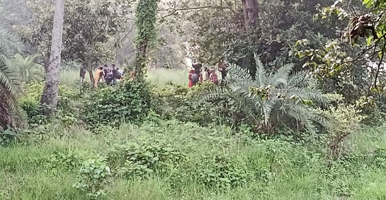 সীমান্তে ২৮ জনকে পুশইন করলো বিএসএফ