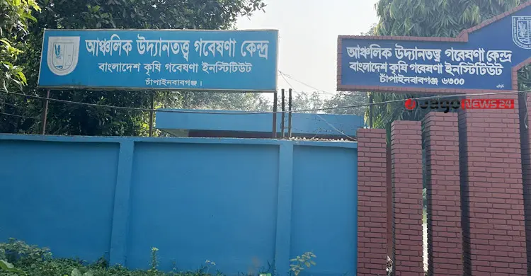 উদ্যানতত্ত্ব গবেষণা কেন্দ্রে ৩৬ বছরে ১৬ জাতের আম উদ্ভাবন