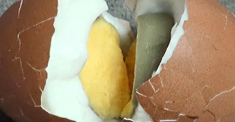 চাঁপাইনবাবগঞ্জে স্কুল ফিডিংয়ের খাবার খেয়ে ২০ শিক্ষার্থী অসুস্থ