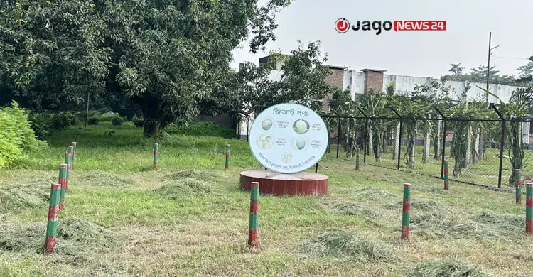 উদ্যানতত্ত্ব গবেষণা কেন্দ্রে ৩৬ বছরে ১৬ জাতের আম উদ্ভাবন