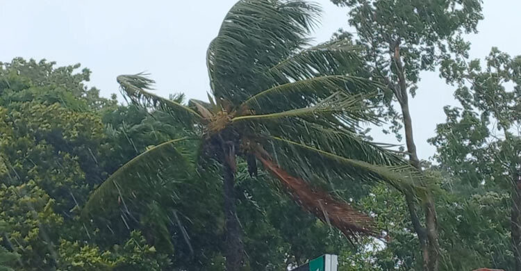 চাঁদপুরে দেশের সর্বোচ্চ বৃষ্টিপাত রেকর্ড