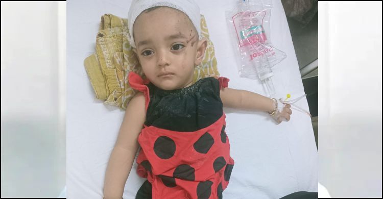 বগুড়ায় দুর্ঘটনায় মা-বাবা হারানো সেই শিশুর দায়িত্ব নিলেন প্রধানমন্ত্রী