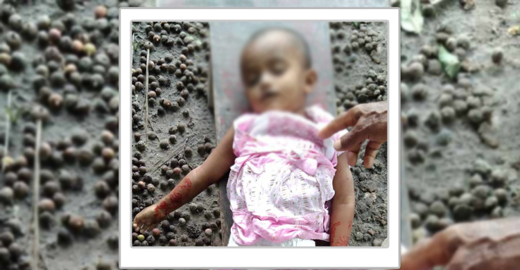 প্রাইভেটকারের ধাক্কা, মায়ের কোল থেকে ছিটকে প্রাণ গেলো শিশুর