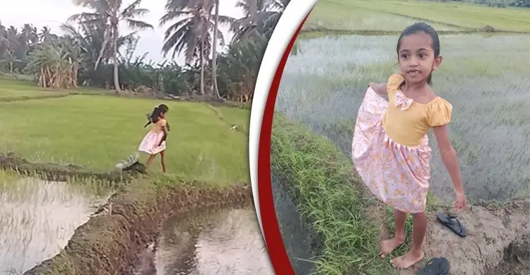 শিশুর কোলে গন্ধগোকুল-পেছনে সজারু: ফেসবুকে ঝড় তোলা ভিডিওর আসল সত্য
