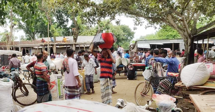 আমদানির খবরে ৮০০ টাকার কাঁচামরিচ এখন ৩০০