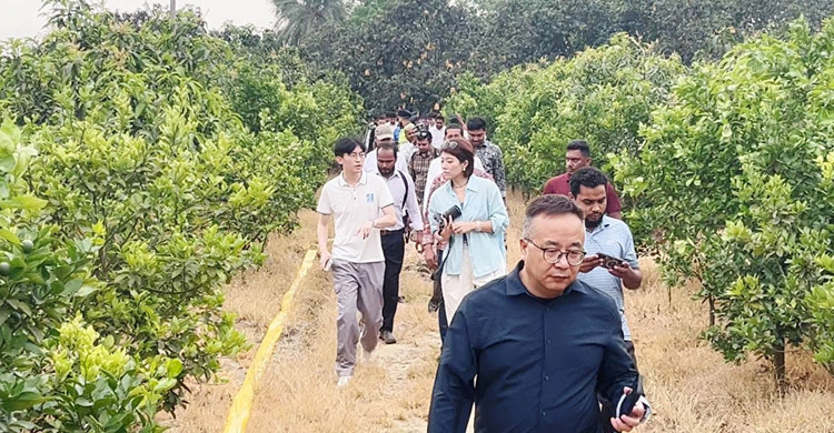 Chinese envoy explores mango orchards in Nachol