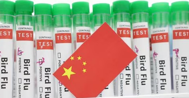 বিশ্বে প্রথম পাখিদের ভাইরাসে মানুষের মৃত্যু