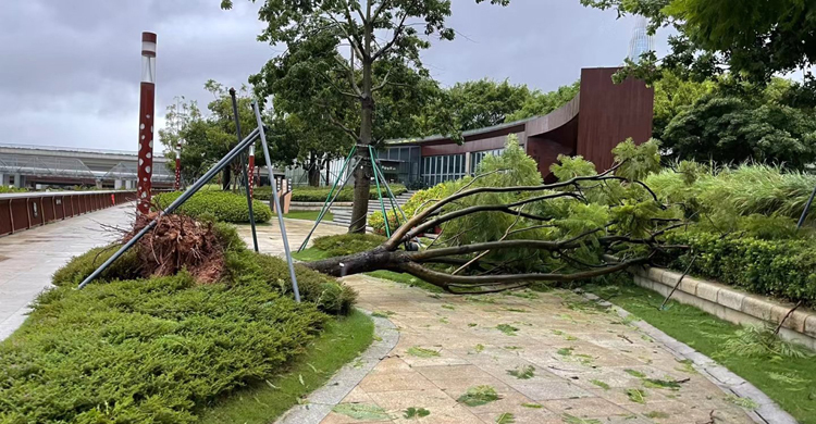 চীনে ঘূর্ণিঝড়ের আঘাত