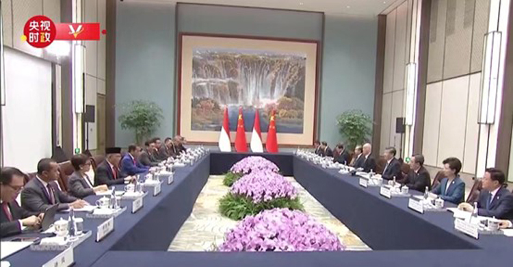 চীনা প্রেসিডেন্টের সঙ্গে ইন্দোনেশিয়ার প্রেসিডেন্টের বৈঠক
