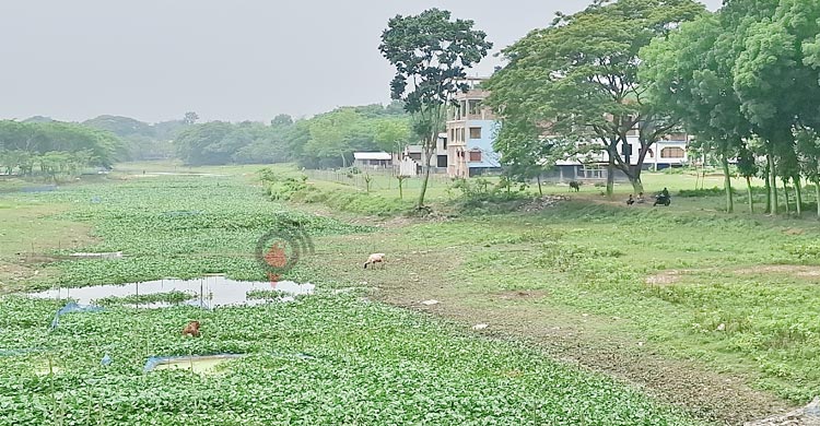 দখল-দূষণে প্রমত্তা ‘চিত্রা’ এখন মরা নদী