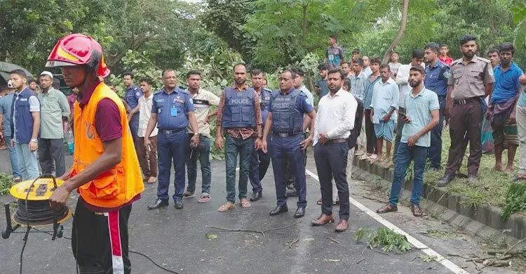 সীতাকুণ্ডে গাছ কেটে সড়ক অবরোধের ঘটনায় সওজের মামলা, গ্রেফতার ২