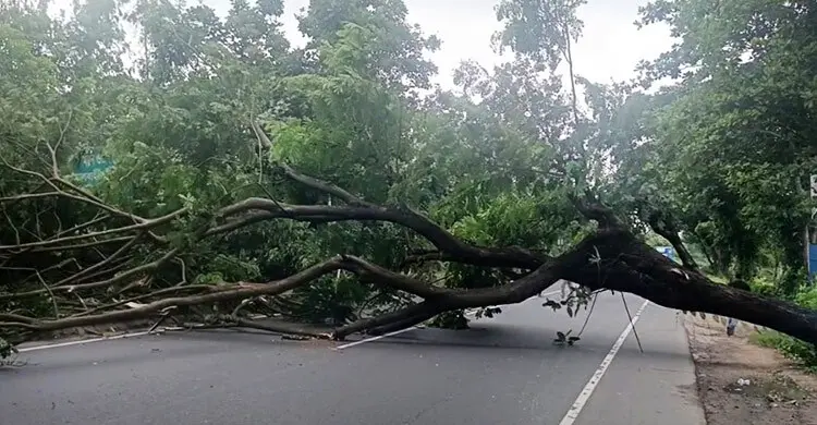 আসলাম চৌধুরীর প্রার্থিতা বাতিলের প্রতিবাদে ঢাকা-চট্টগ্রাম মহাসড়ক অবরোধ