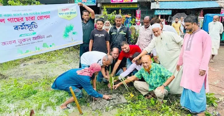 বজ্রপাত রোধে সড়কের পাশে তালগাছ রোপণ