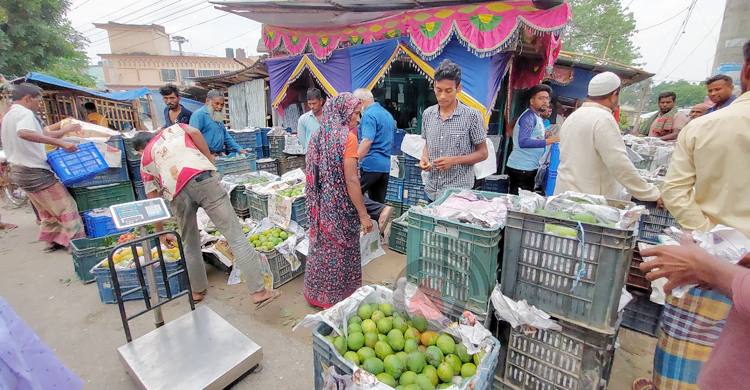 চুয়াডাঙ্গায় আমের কেজি ৯-৩৫, দাম নিয়ে হতাশ চাষি-ব্যবসায়ীরা