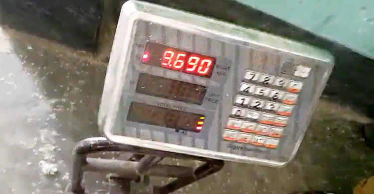 জীবননগরে ভিজিএফের চাল বিতরণে অনিয়মের অভিযোগ