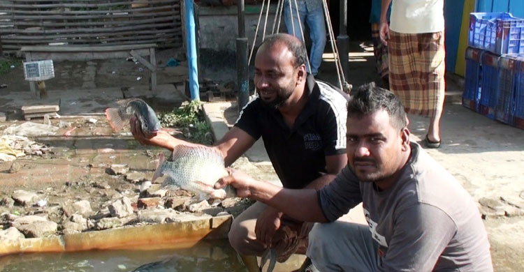 যে বাজারে প্রতিদিন কোটি টাকার মাছ বিক্রি হয়