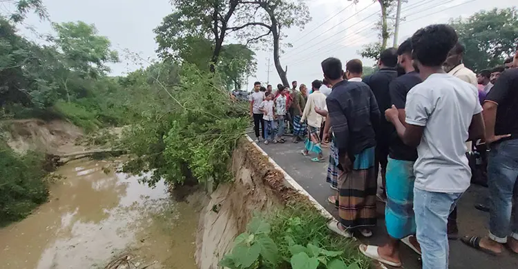 চুয়াডাঙ্গায় টানা বর্ষণে ফসলের ব্যাপক ক্ষতি, সড়ক ভাঙনে দুর্ভোগ