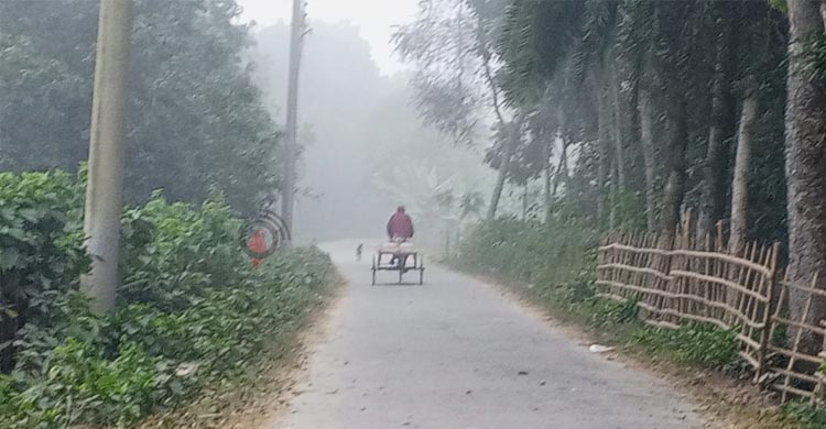 চুয়াডাঙ্গায় মৌসুমে সর্বনিম্ন তাপমাত্রা রেকর্ড