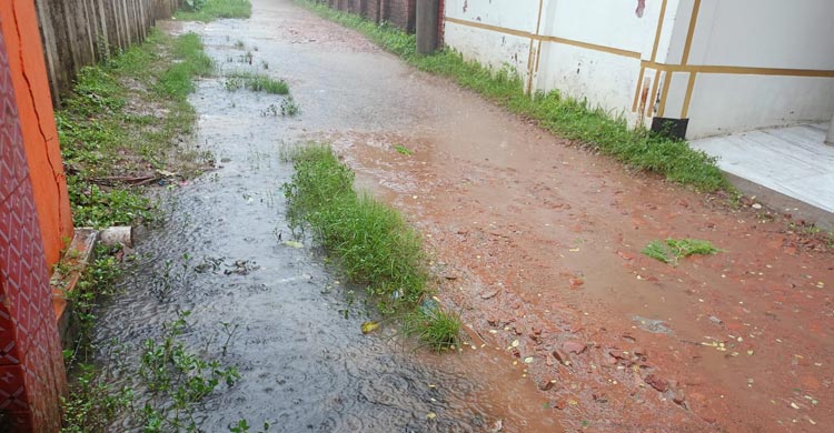 চুয়াডাঙ্গা পৌরসভায় বেহাল ড্রেন-সড়কে জলদুর্ভোগ